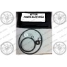 KIT REVISIONE PARTE IDRAULICA RENAULT CLIO II